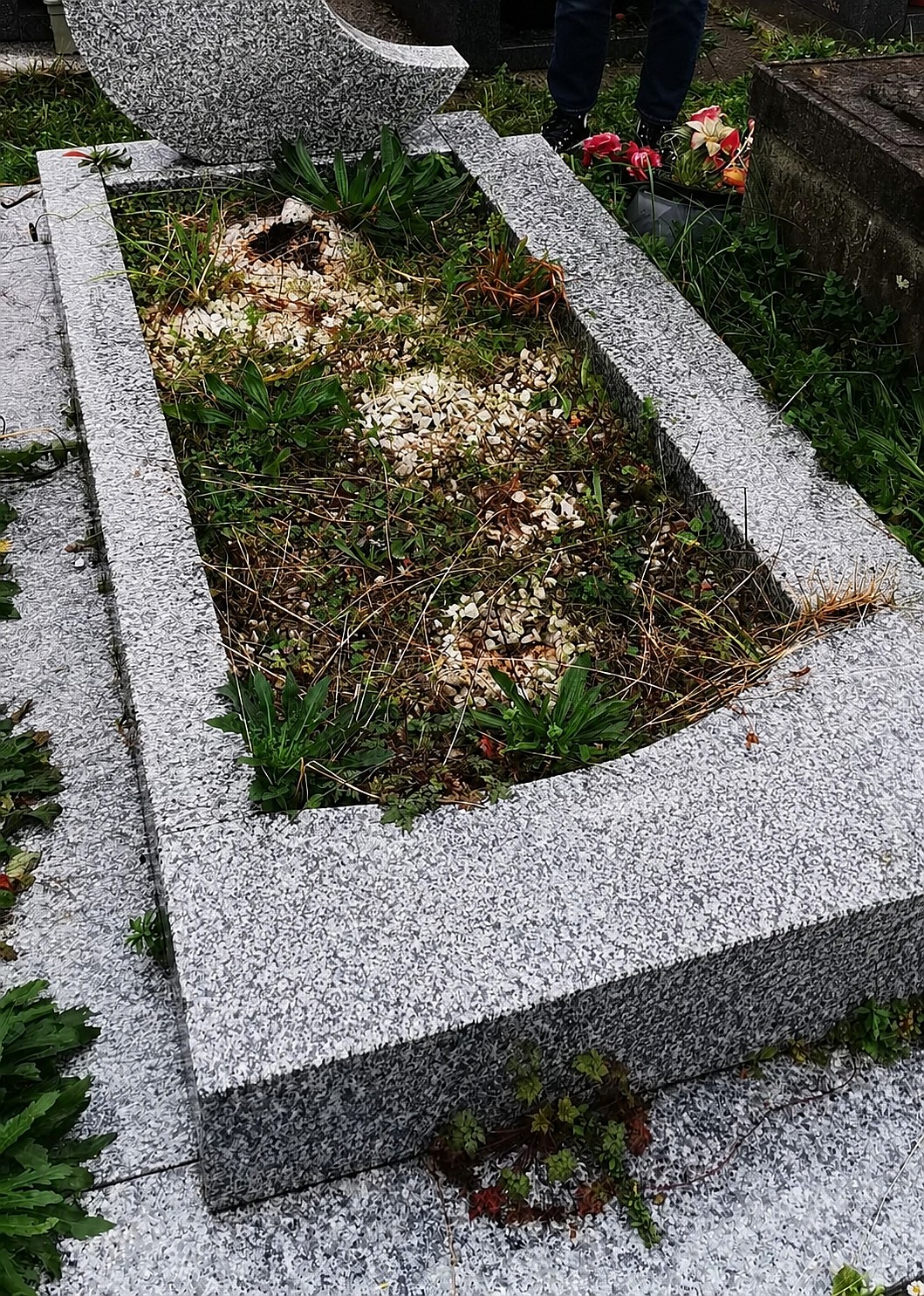 Grave before the service, with vegetation and weeds
